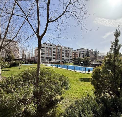 Planta baja en Alquiler en C. Cerro del Espino en Zona Monte El Pilar