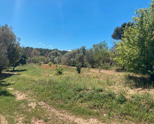 Finca rústica en venda en Rubí