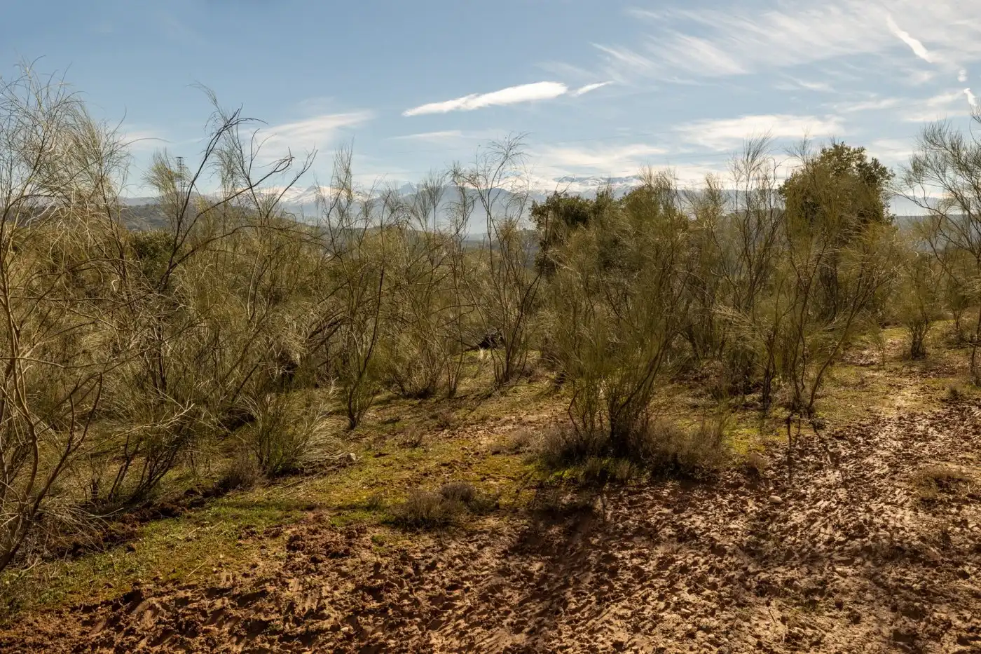 Country house for sale in Albaicín, imagen 29