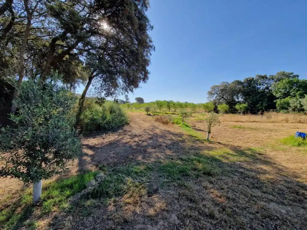 Terreno en venta en Binaced