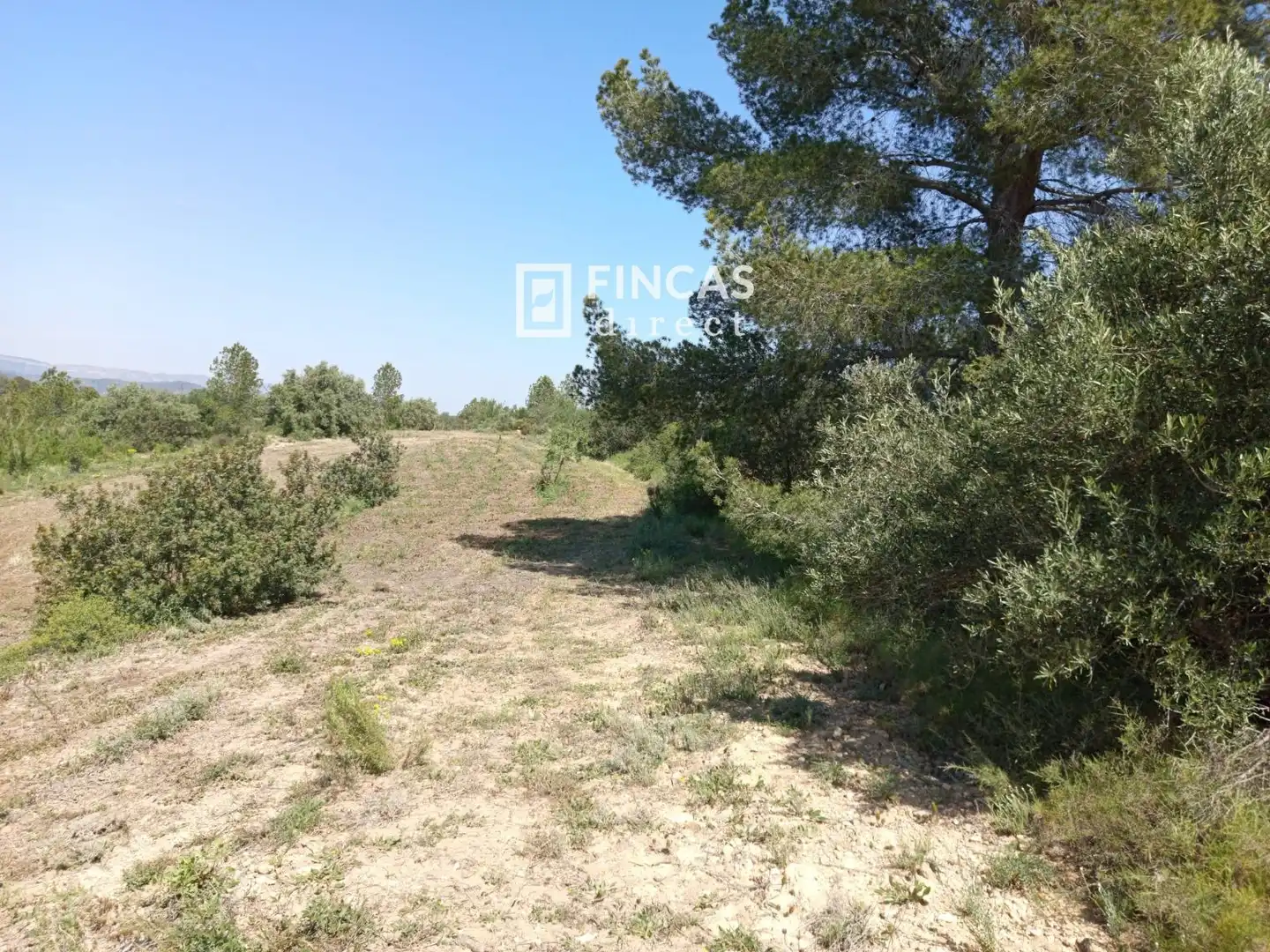 Terrain rustique à vendre à WFXW+MPJ, imagen 11