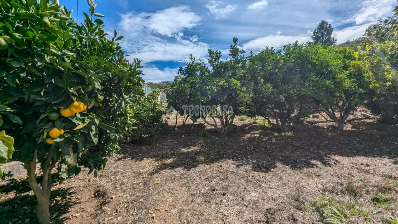 Casa o chalet en venta en Los Realejos pueblo