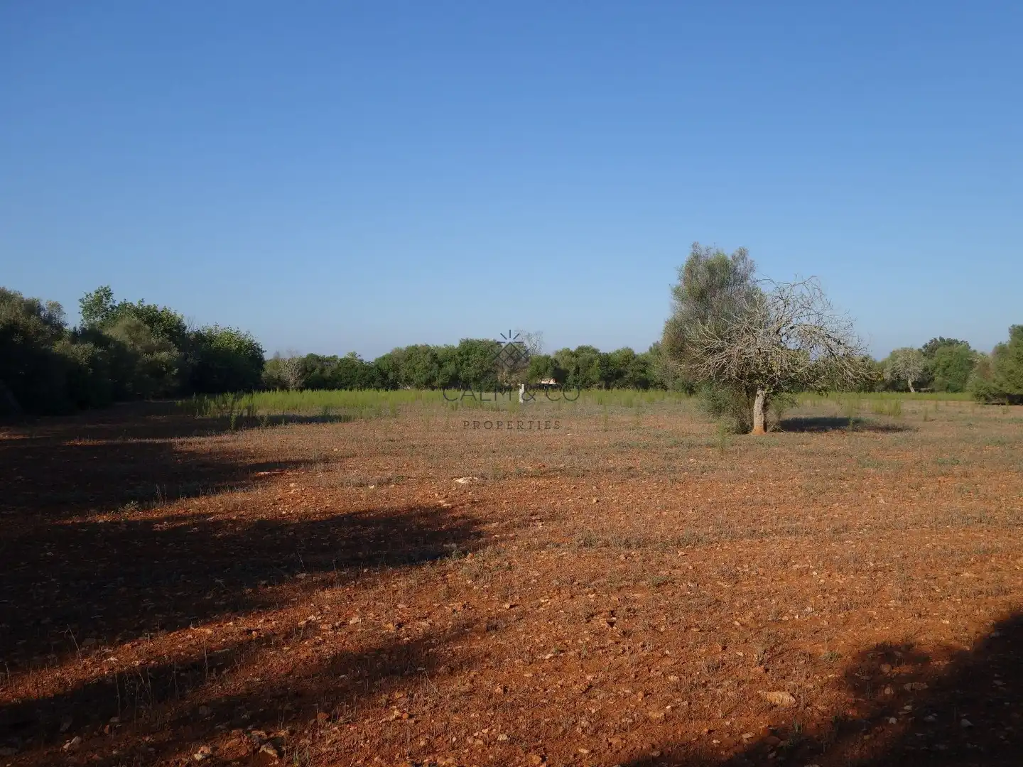 Residential land for sale in Felanitx Poble, imagen 9