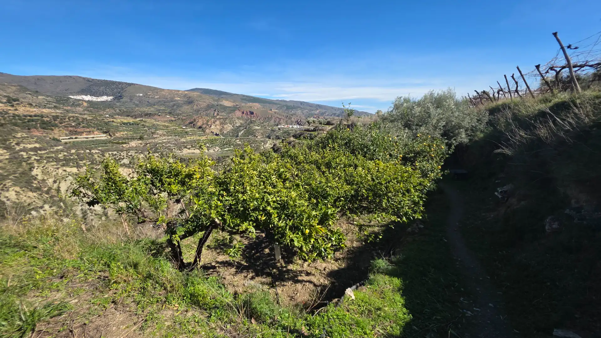 Country homes for sale in Padules, Almería