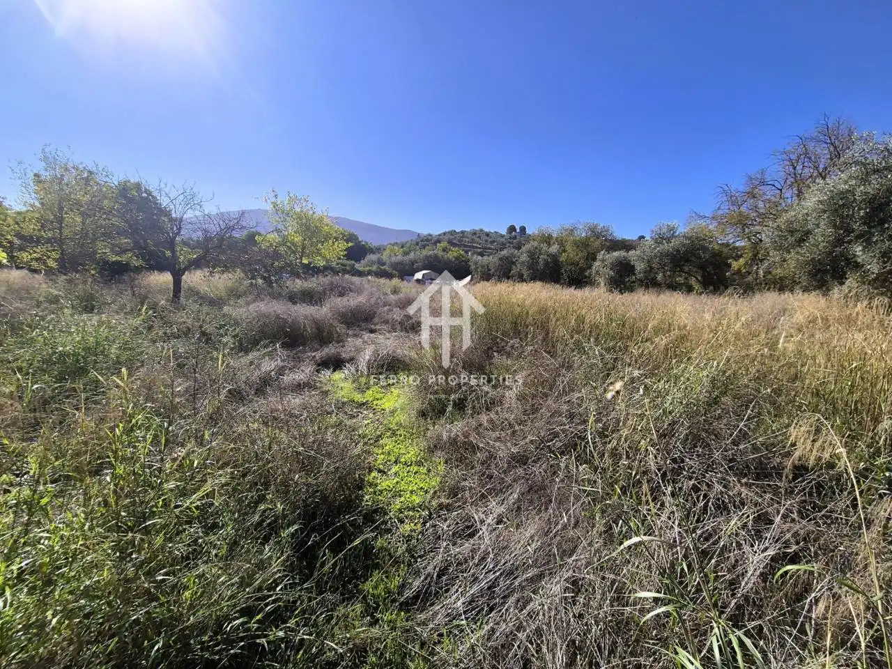 Land for sale in Loja