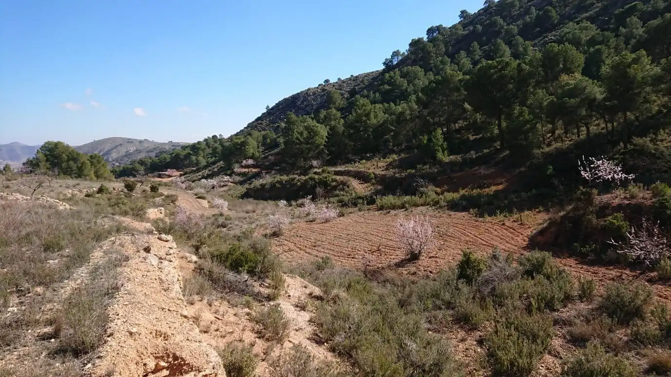 Residential for sale in Totana