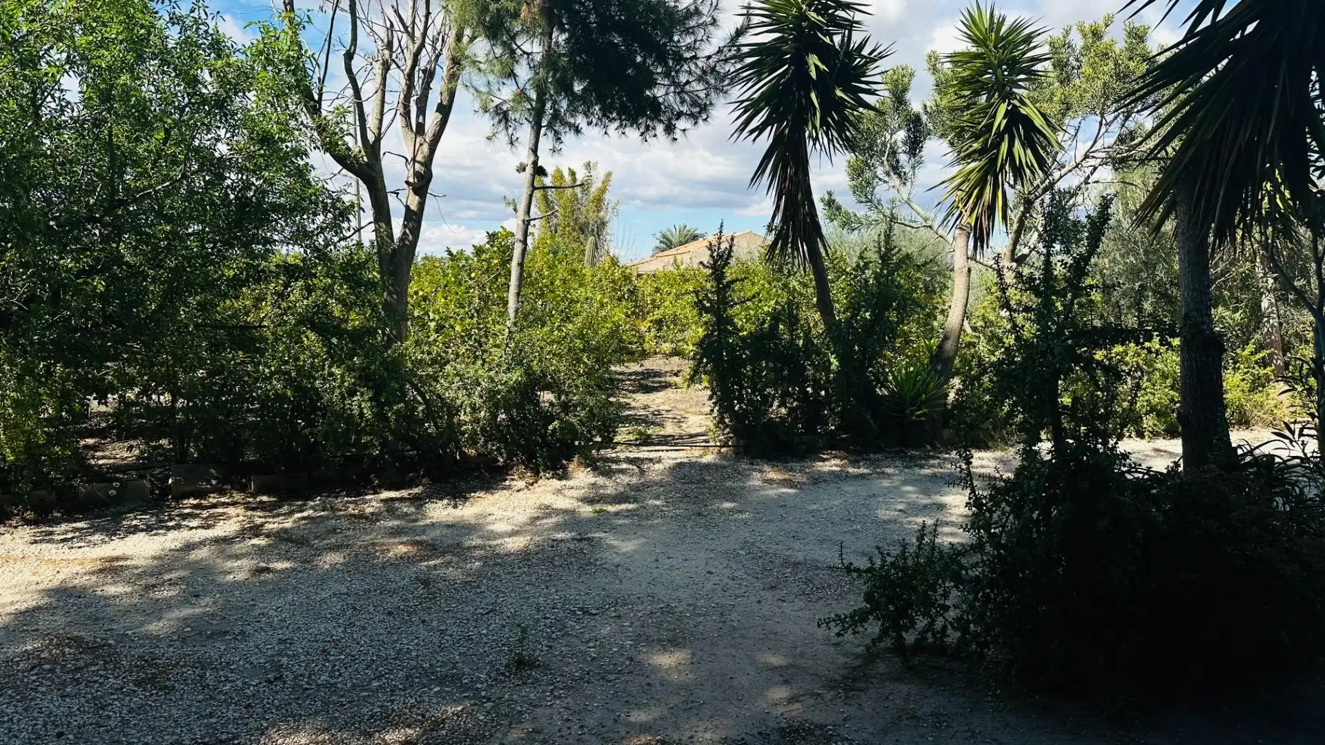 Casa o xalet en venda en Elche / Elx amb Jardí privat, Traster i Piscina