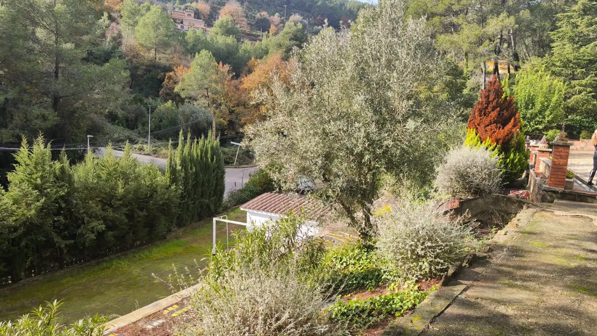 Jardí de Casa o xalet en venda en Cervelló amb Jardí privat, Terrassa i Piscina