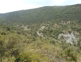 Terreno residenziale in vendita a Diseminat Agullo, imagen 13