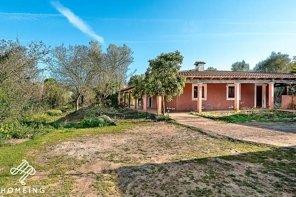 Vista exterior de Finca rústica en venta en Algaida con Terraza