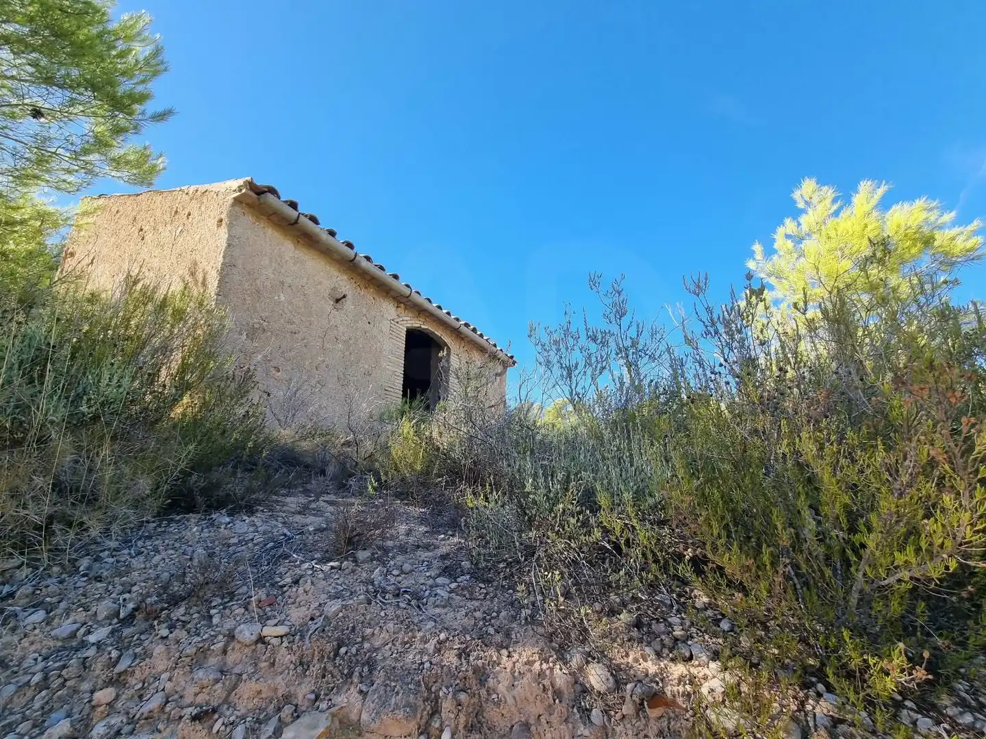 Lands and plots for sale in poligono 7 parcela 274, imagen 3