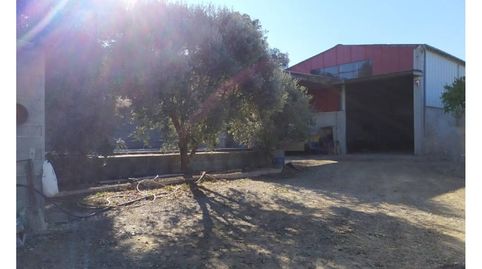 Foto 3 von Grundstücke zum Verkauf in Calle Diseminados, Albelda, Huesca