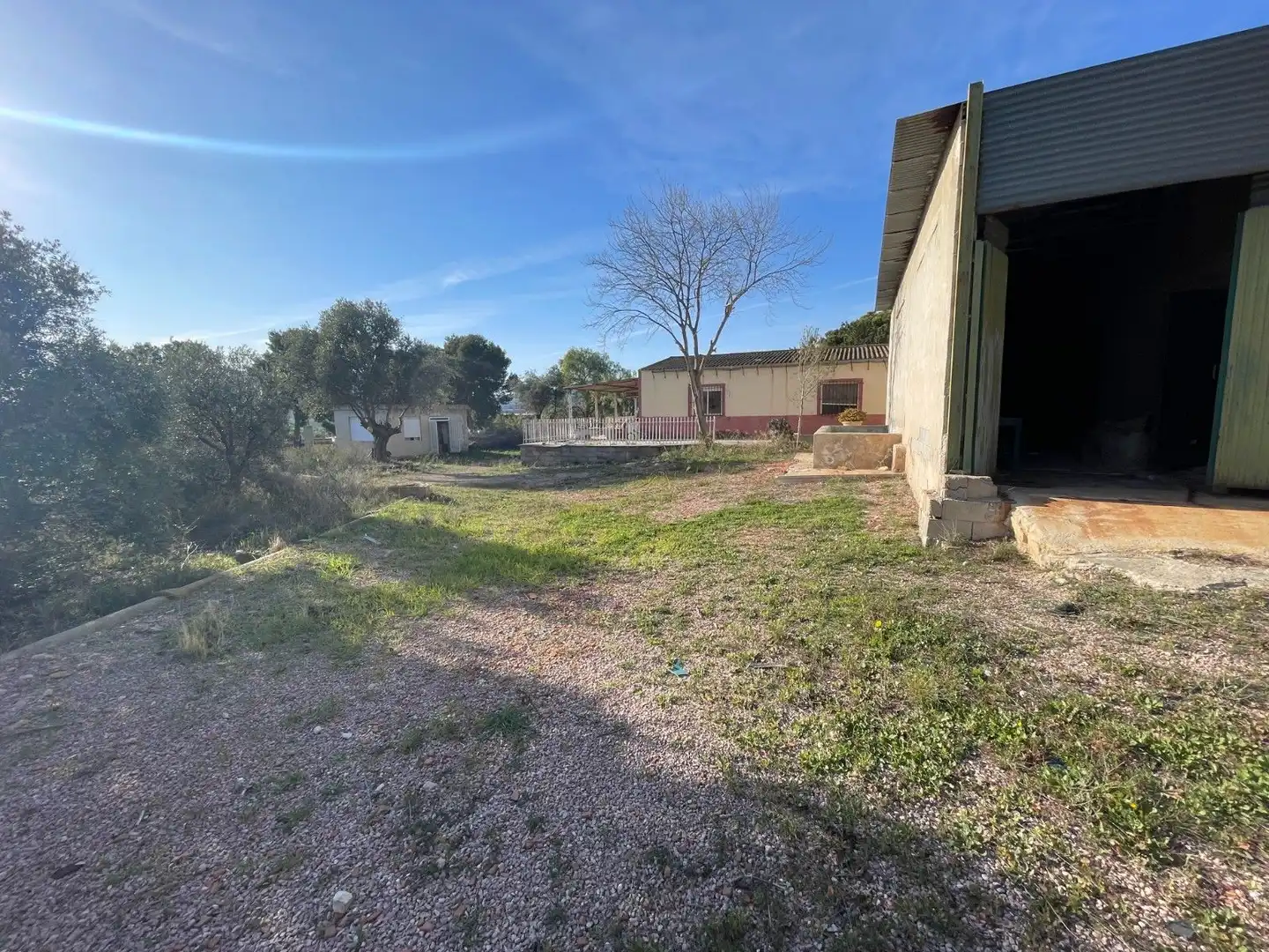 Land for sale in Aspe