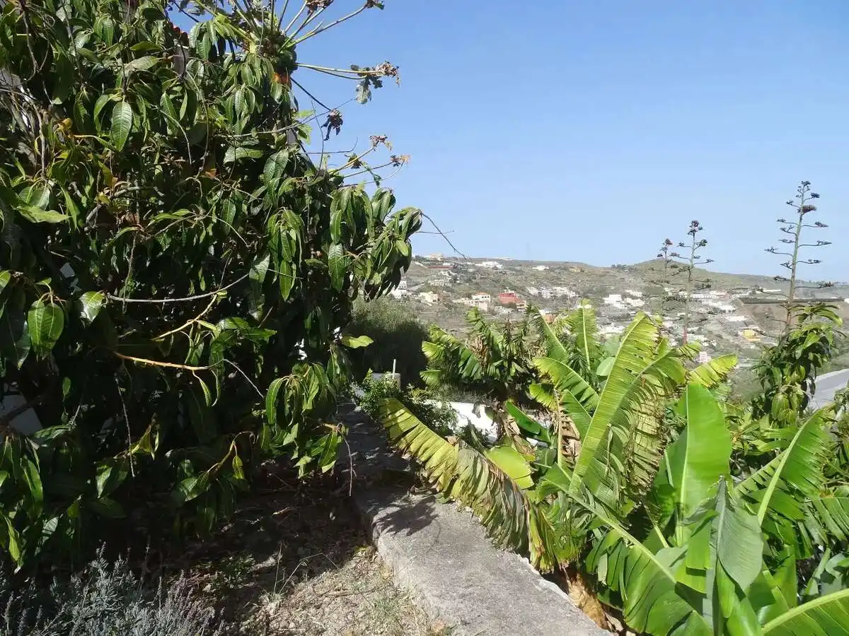 Flat for sale in Caserones - La Higuera, imagen 28