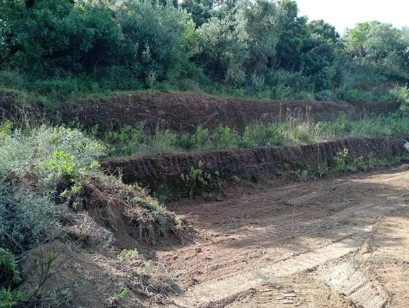 Terreno rustico in vendita a Monda, imagen 8