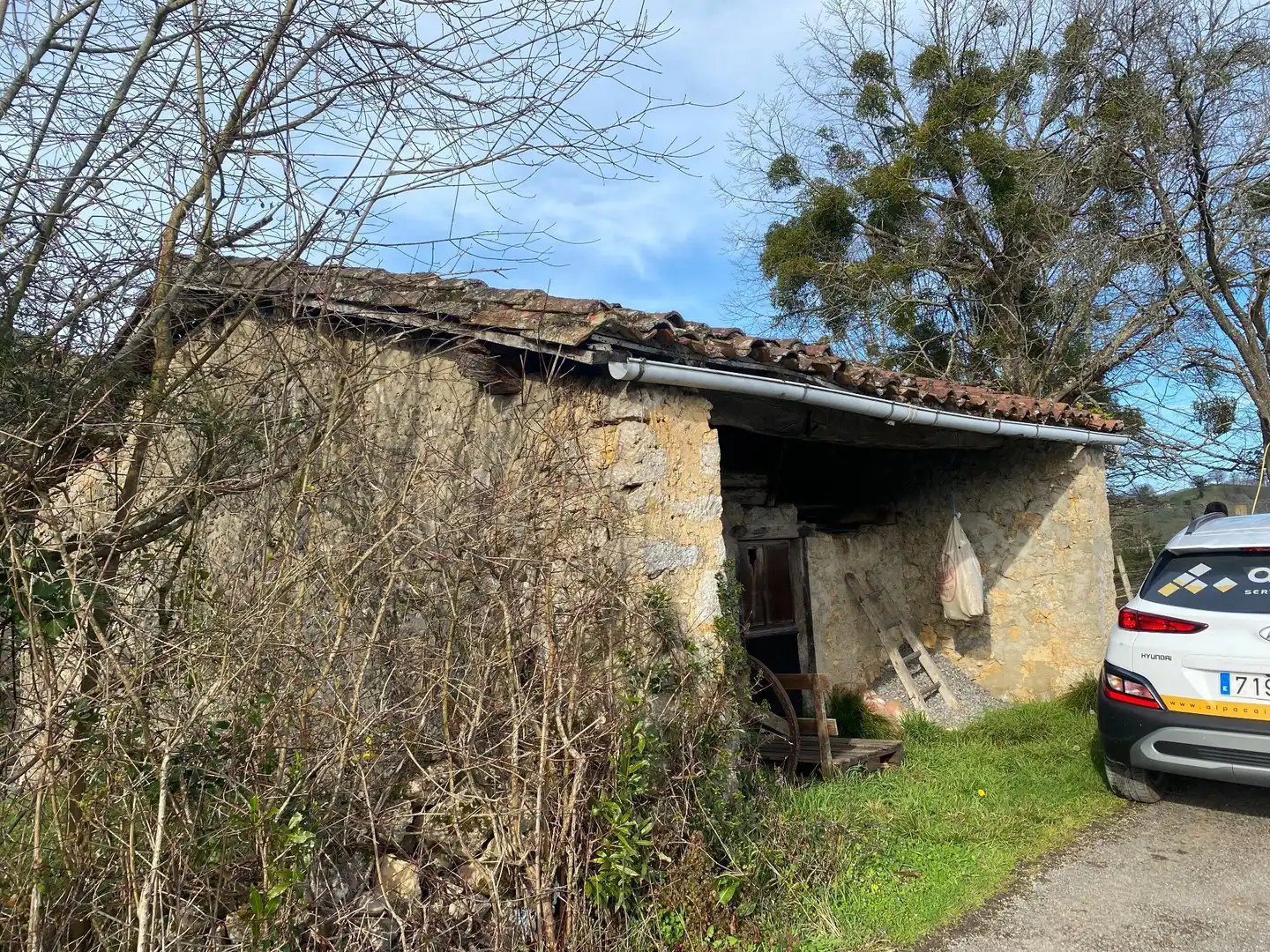 Terreno rústico en venta en Antrialgo, imagen 4