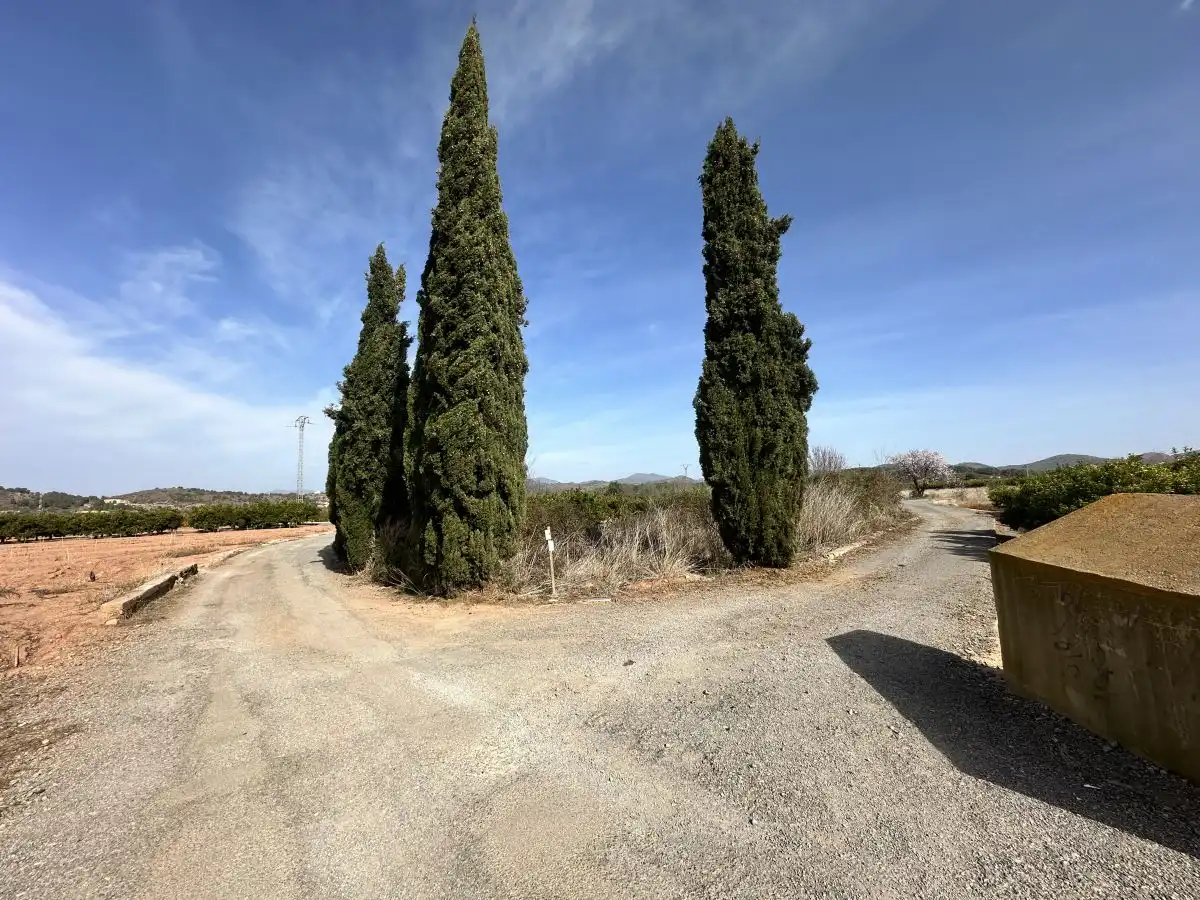 Terreno residencial en venta en Algímia de Alfara, imagen 3