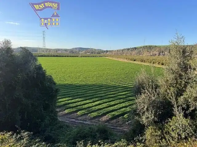 Terreny rústic en venda a Arcos de la Frontera