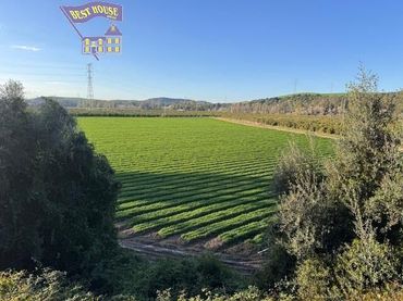 Terreno rustico in vendita a Arcos de la Frontera
