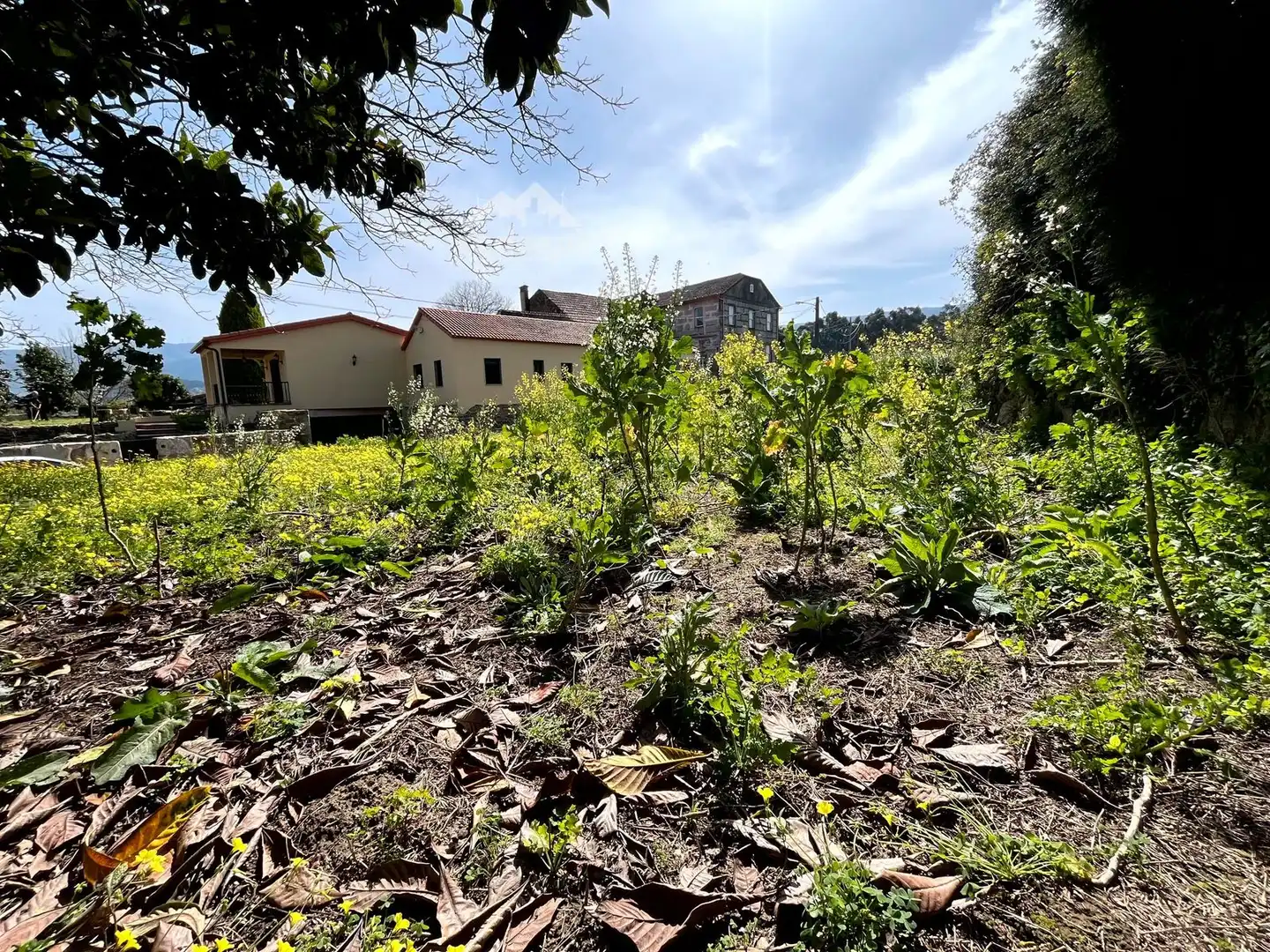 Rural land for sale in Arbo, imagen 8