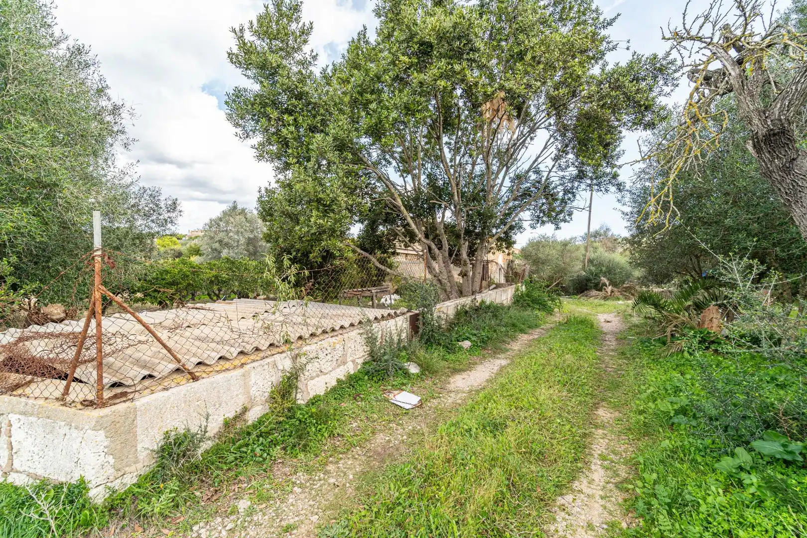 Maison rustique avec jardin à vendre à Son Servera Poble, imagen 24