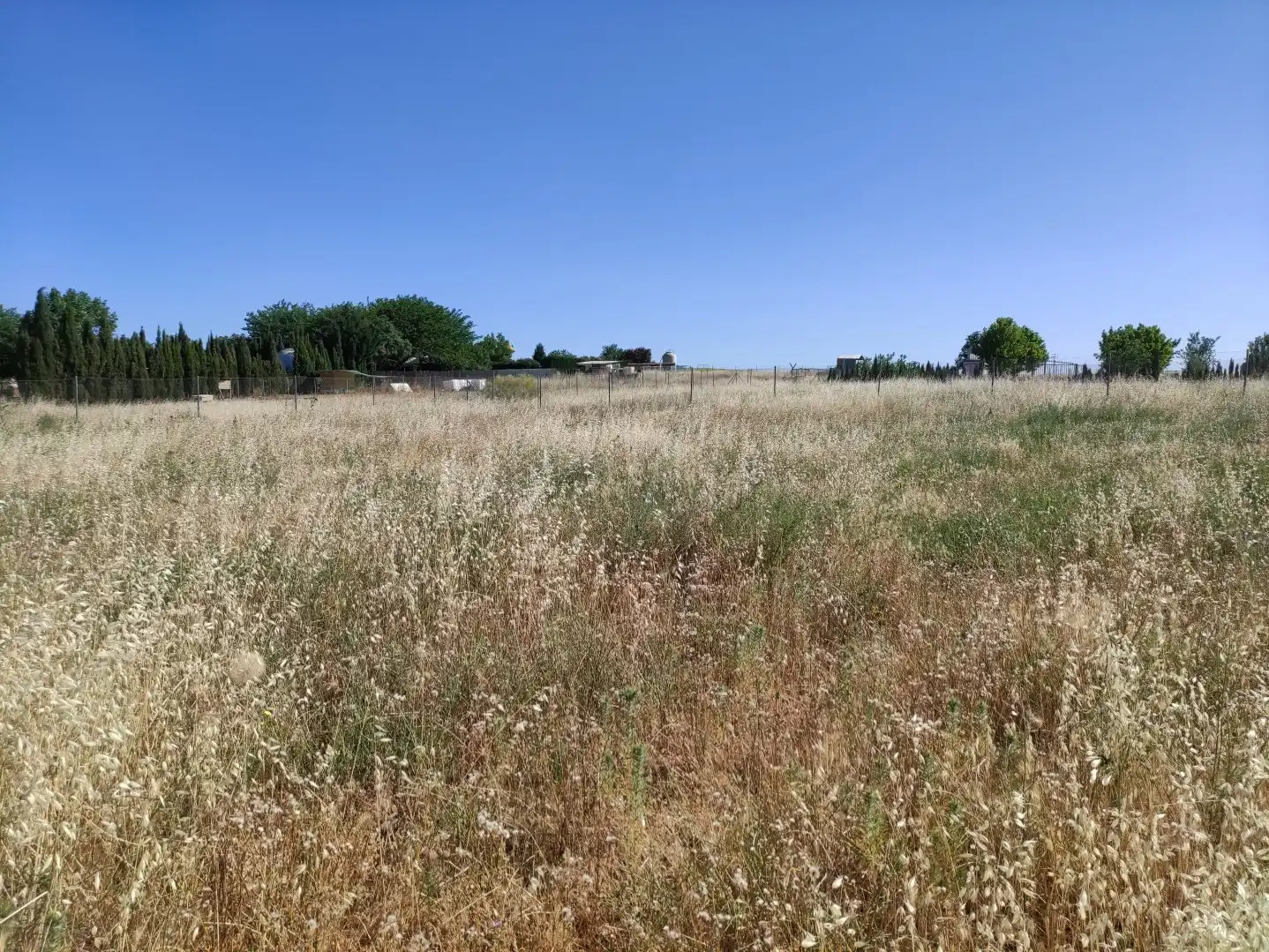 Terreni e lotti in vendita a Área Rural-Valverde-Las Casas, imagen 9