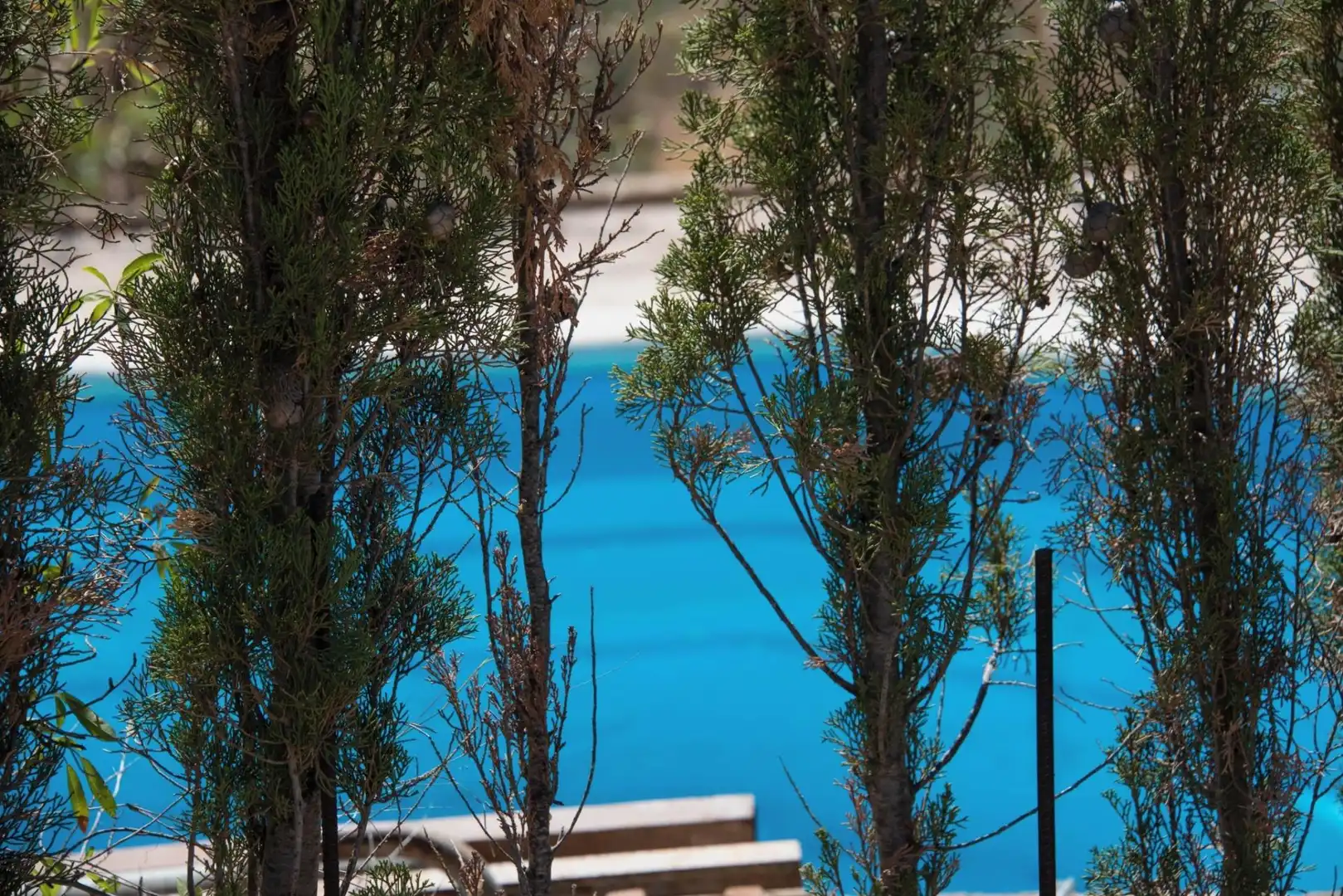 Casa rústica amb piscina en venda a El Pinar, imagen 31