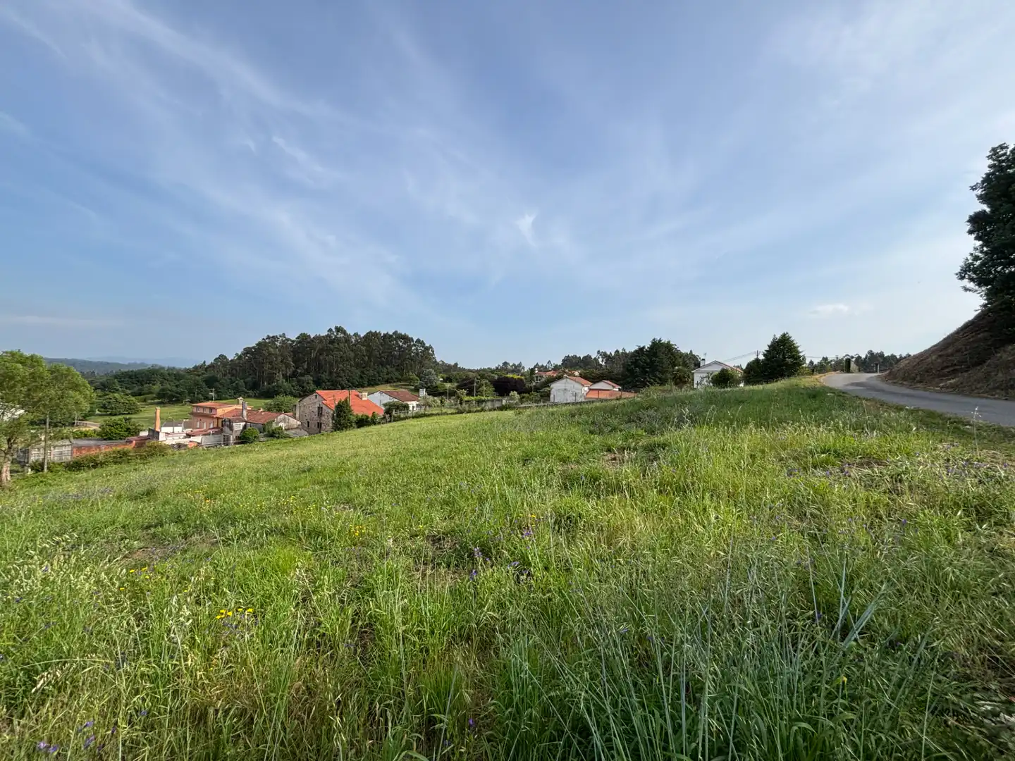 Terrains et parcelles à vendre à Lugar Torre, imagen 5