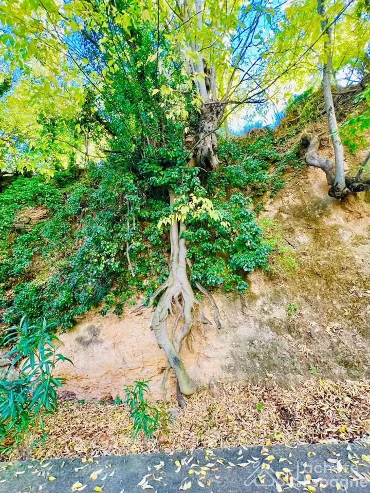 Vista exterior de Casa o xalet en venda en Cortes de Pallás amb Aire condicionat, Parquet i Moblat