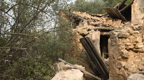 Foto 4 de Finca rústica en venta en Camino N/a, Benifallet, Tarragona
