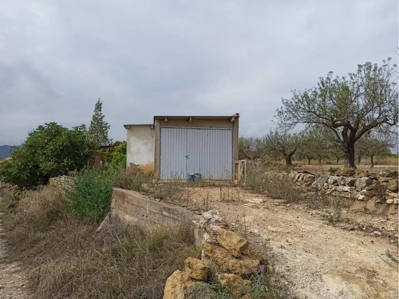 Terreno rustico in vendita a Cervera del Maestre, imagen 14