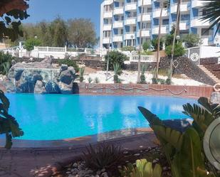 Piscina de Local de lloguer en San Miguel de Abona