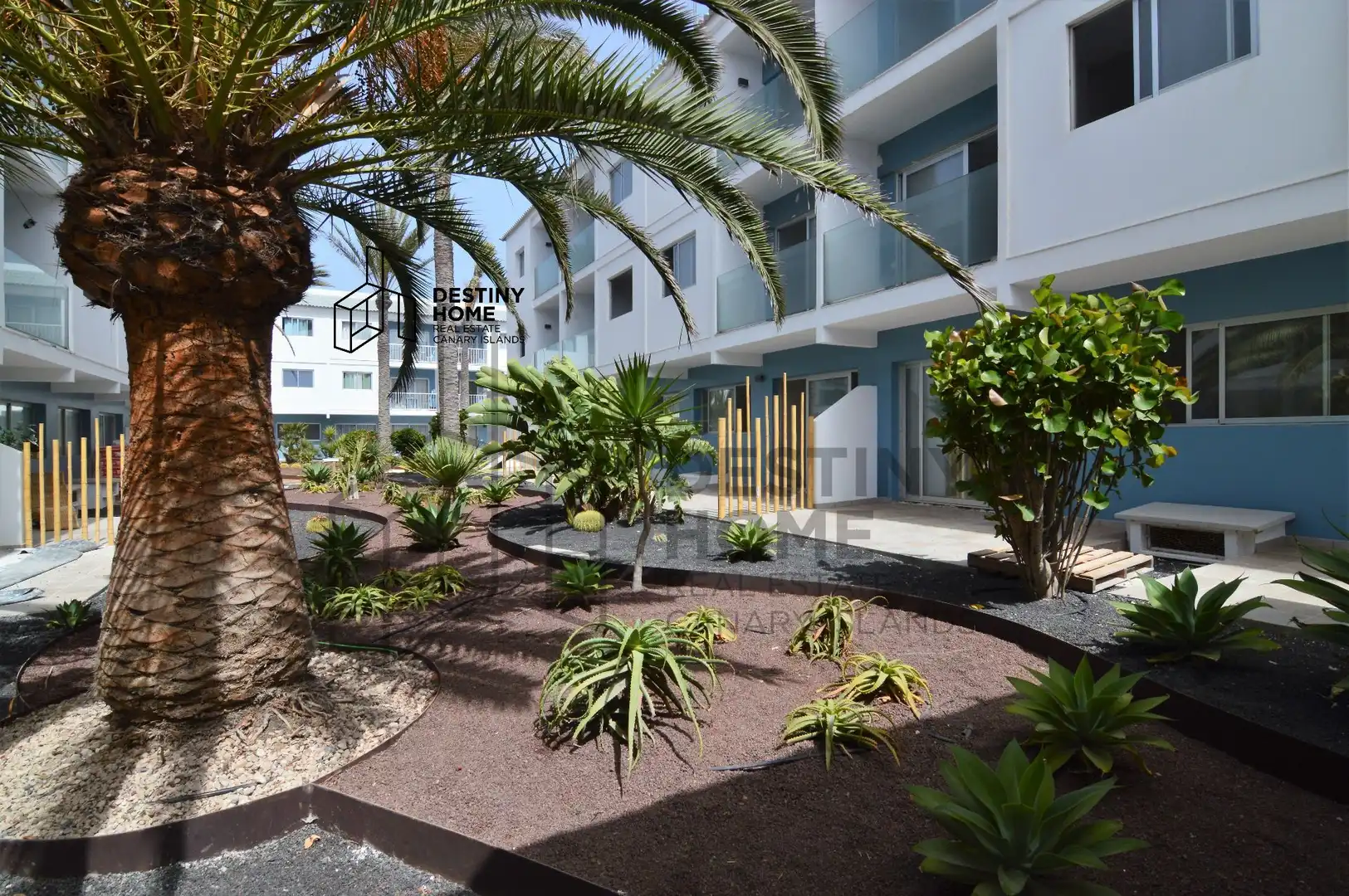 Exterior view of Apartments for sale in La Oliva  with Furnished and Community pool