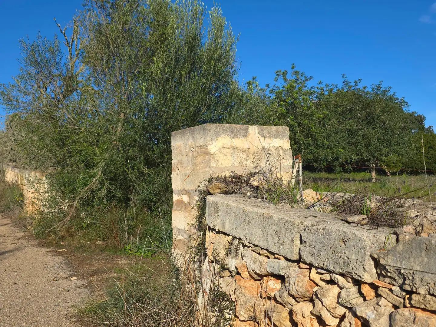 Terreni e lotti in vendita a CARRERASSA D'EN FOC, imagen 16