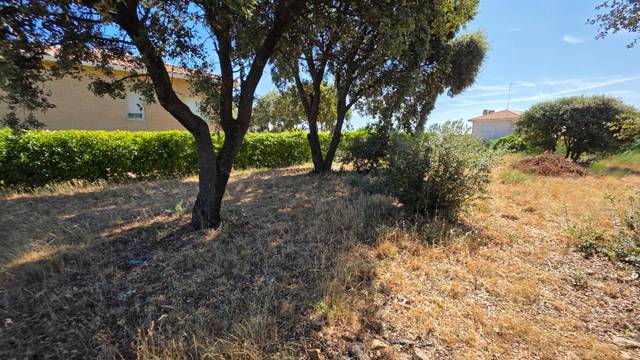 Terreno residencial en Venta en Calle Río Gallo, 417 en Torrejón del Rey