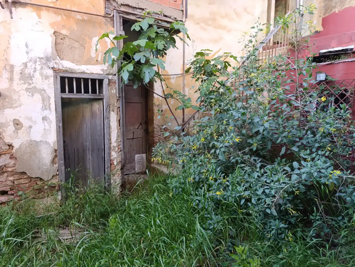 Casa o chalet en venta en San Roque