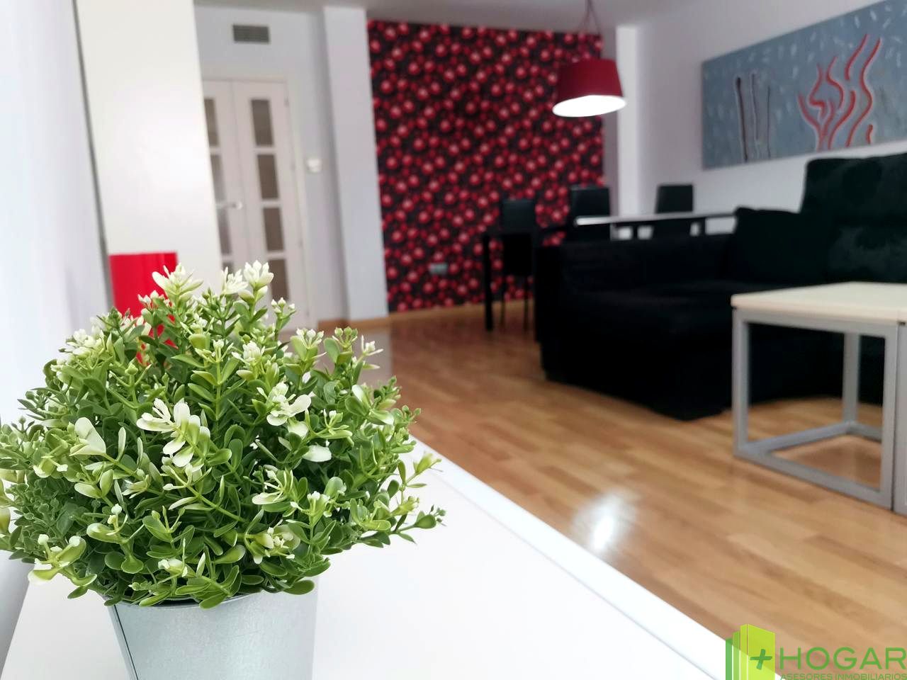 Pis de lloguer a Pintor Murillo