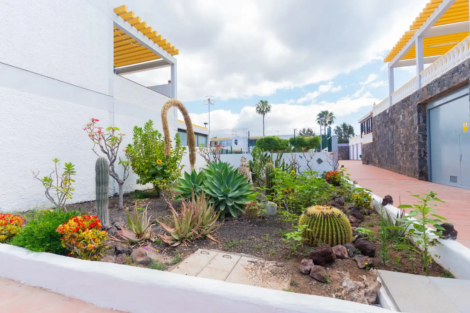Jardín de Apartamento en venta en Arona con Piscina comunitaria