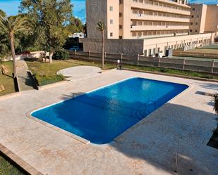 Swimming pool of Study for sale in Manacor  with Terrace