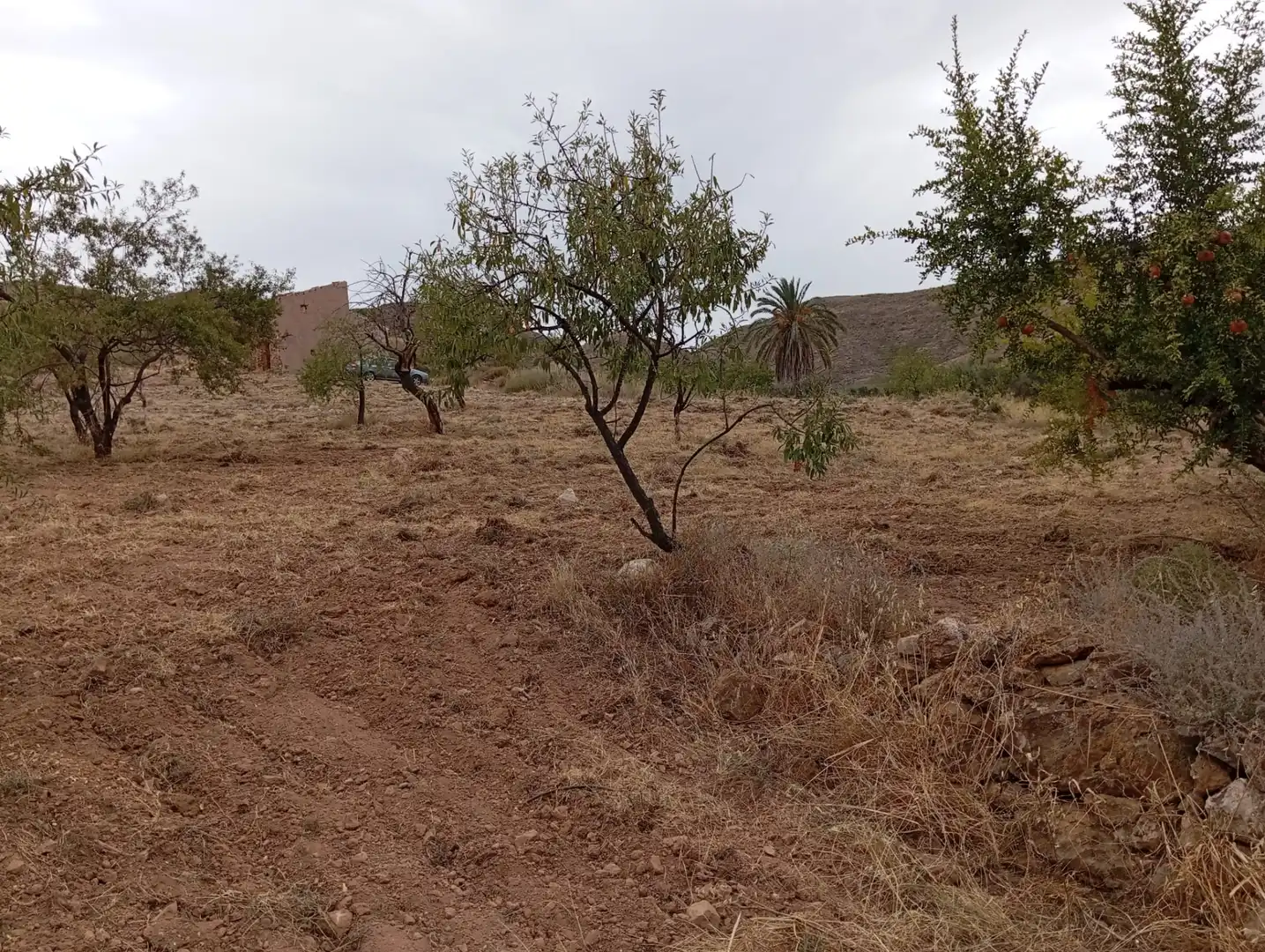 Terreni e lotti in vendita a Bolnuevo, imagen 21