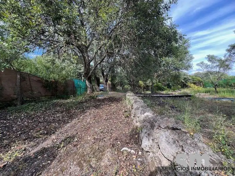Terreno rustico in vendita a Ubrique, imagen 14