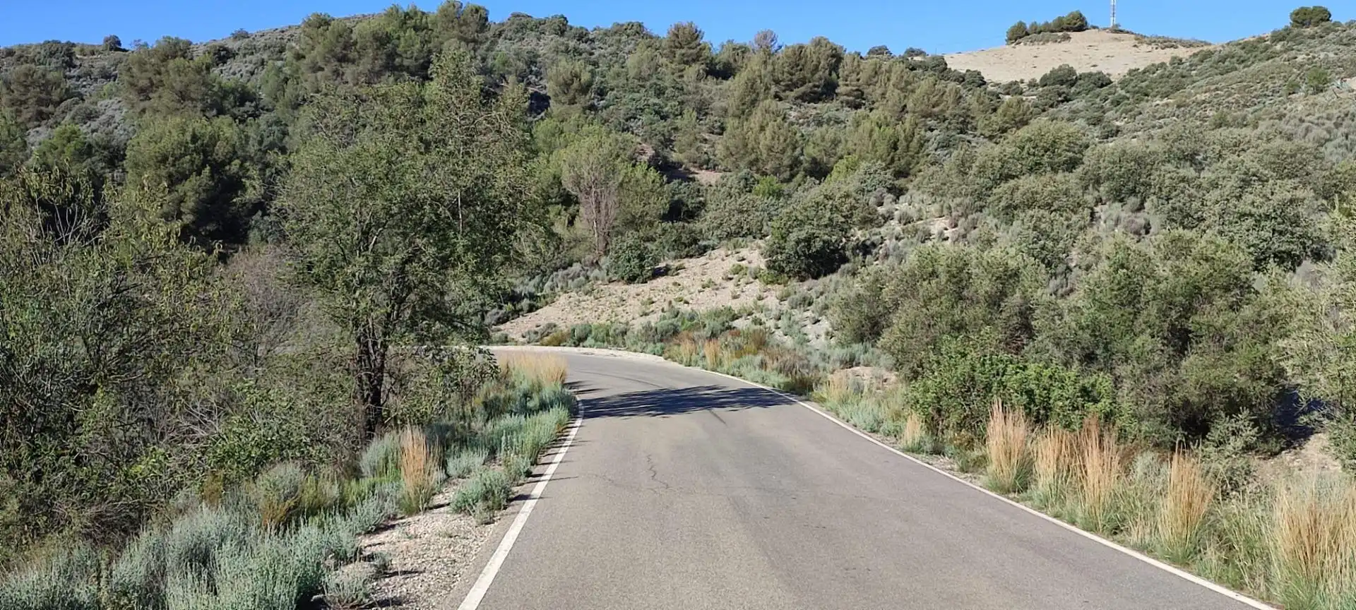 Vista exterior de Finca rústica en venta en Lorca con Calefacción