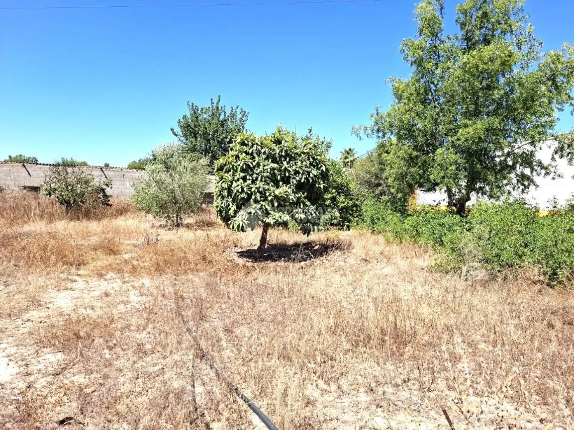 Finca rústica en venta en Almensilla con Trastero