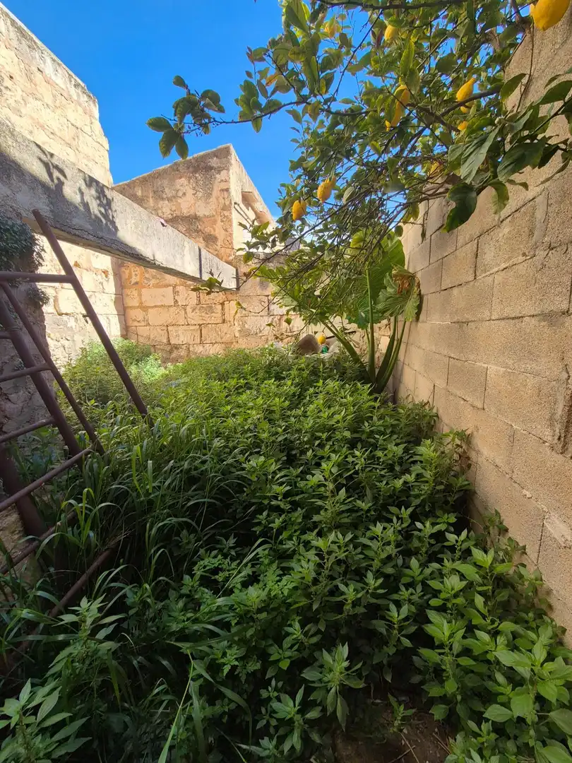 Casa o xalet en venda a Sa Pobla
