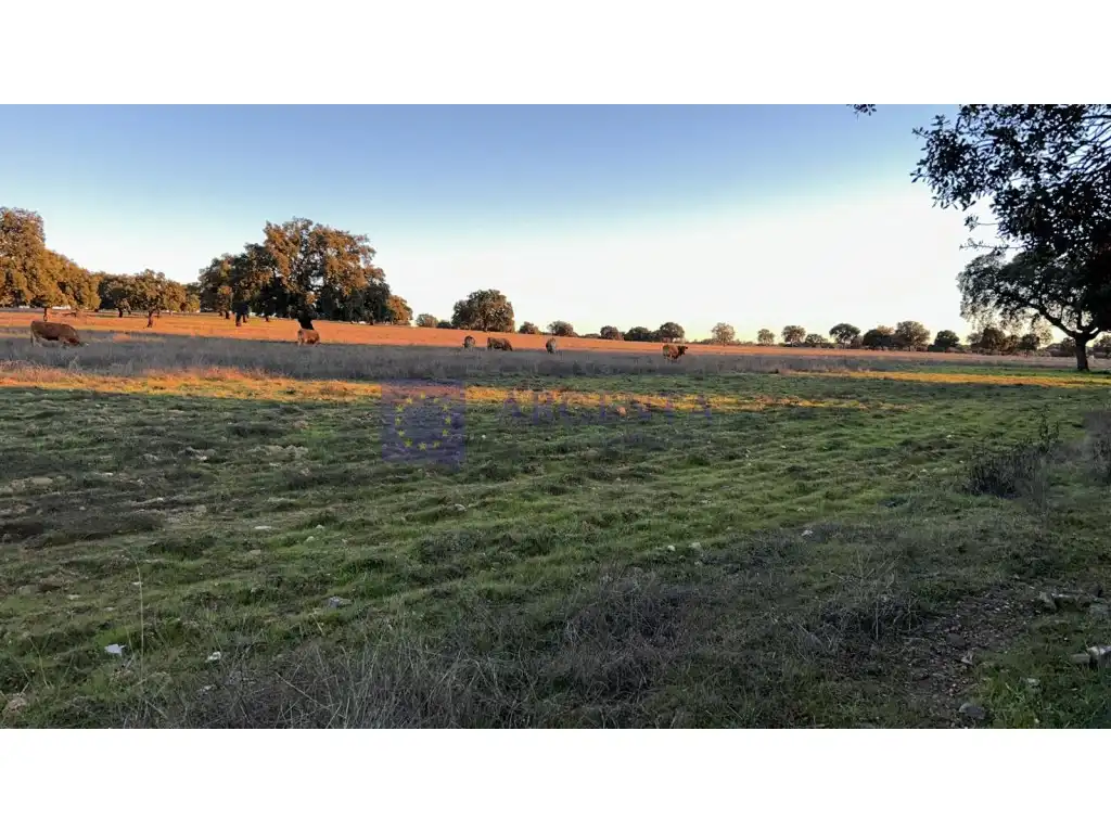 Houses for sale in Oeste