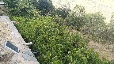 Rural land for sale in Alpujarra de la Sierra, imagen 23