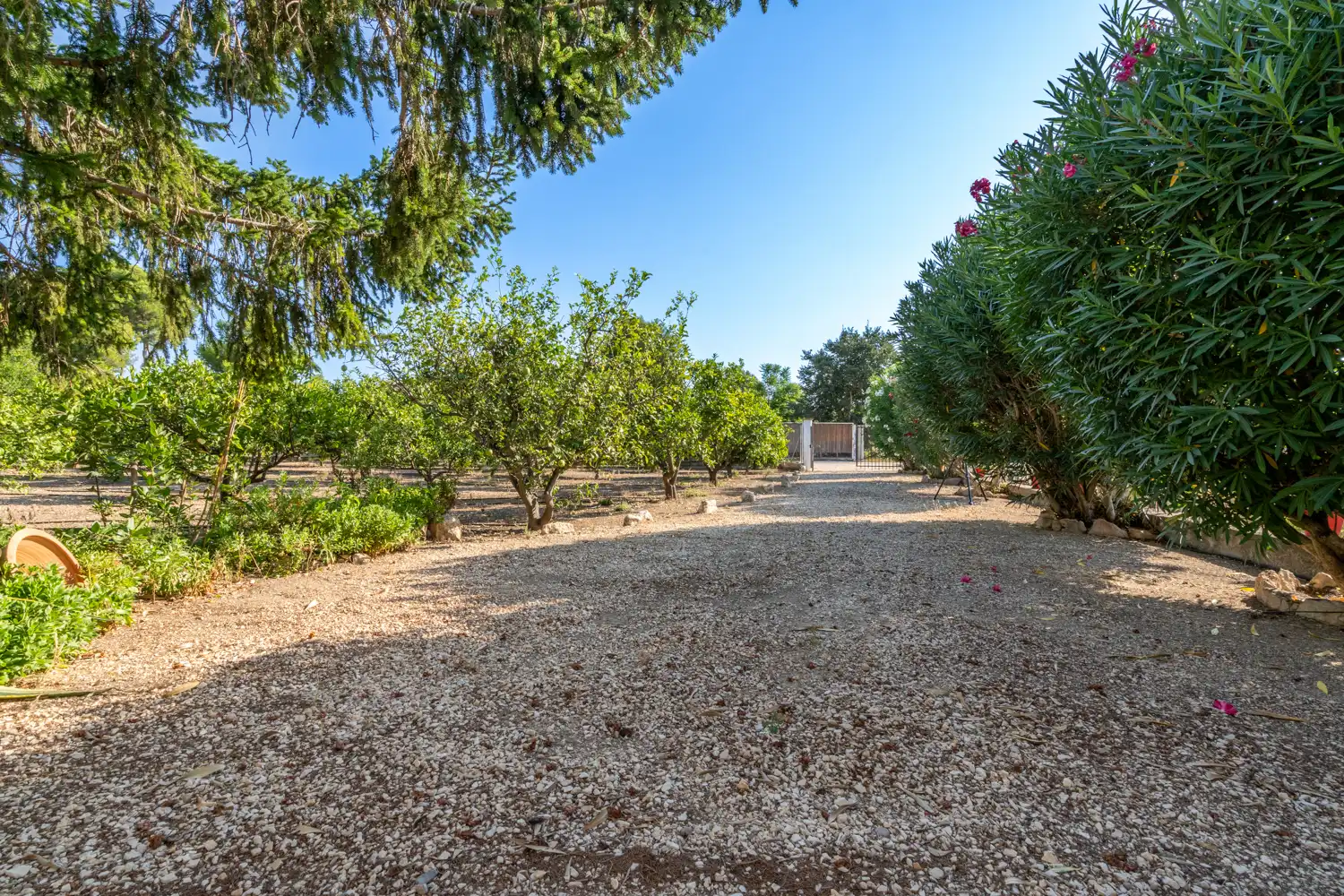 Terreno rustico in vendita a Passeig Manel Cid, imagen 17
