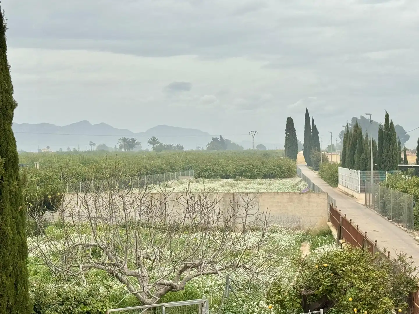 Vista exterior de Casa o xalet en venda en Orihuela amb Aire condicionat, Calefacció i Jardí privat