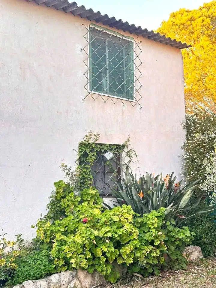 Vista exterior de Finca rústica en venta en Amposta con Piscina