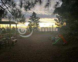 Jardí de Finca rústica de lloguer en Arico amb Jardí privat